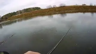 Попал на активный клёв щуки