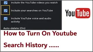 How to Turn On Youtube Search History