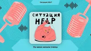 На меня напали пчёлы | Ситуация HELP