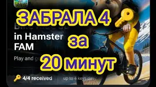 КАК ПОЛУЧИТЬ КОДЫ НА КЛЮЧ ХАМСТЕР КОМБАТ в игре с велосипедами #hamsterkombat