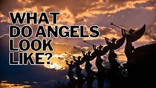 Ever Met an Angel in Disguise? 