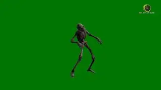 Skeleton Green Screen HD