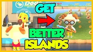 How to Get BETTER Mystery Islands in Animal Crossing New Horizons