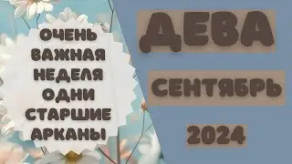 ДЕВА♍️ СЕНТЯБРЬ 2024 [Таро прогноз]