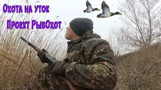 Весенняя Охота на уток