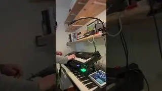 Keeping up the chops with the Galileo IOS Organ