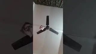 why my ceiling fan is not working again #shortsfeed #ceilingfan #youtubeshort @Fanking7232