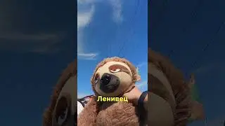 Помощь в жару на дороге. От доброго человека Константина.