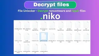 The Ultimate Guide to Decrypting Ransomware and Data -  .niko-  #decrypt #recovery