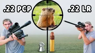 .22 Air Rifle Vs .22LR Hunting!