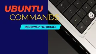Mastering Ubuntu: Essential Terminal Commands for Efficiency and Productivity
