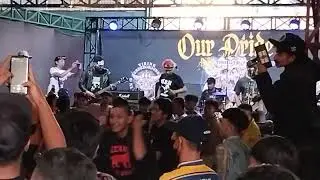 mawar berduri