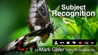 AI Subject Recognition