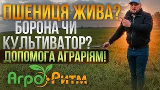 БОРОНУВАННЯ,КУЛЬТИВАЦІЯ,СТАН ОЗИМИХ,ДОПОМОГА АГРАРІЯМ,НОВИЙ ГІБРИД АР1801.