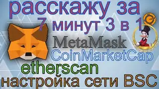 Настройка сети BSC в MetaMask. Добавление пользовательского токена. CoinMarketCap аналитика.