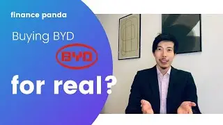 Buy this instead of BYD!