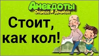 Стоит, Как Кол! Анекдоты Смешные до Слёз!