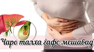 ТАЛХАИ ГАФСШУДА. Сабаби беморихои чигар ва дигар узвхо 