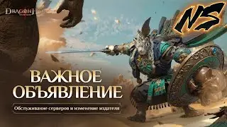 Важное объявление | Dragonheir: Silent Gods | Nekromans