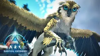 Marnii's OWL GRIFFINS Spotlight | ARK: Ascended