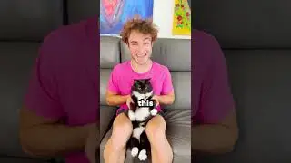 ARE CATS BETTER THAN DOGS?! 😱 - 