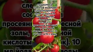 ПОДКОРМКА ТОМАТОВ ВО ВРЕМЯ ПЛОДОНОШЕНИЯ.