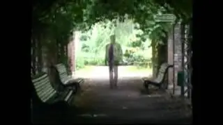 Тайные знаки. Зеленая магия.