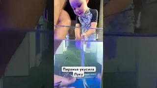 Пиранья чуть не укусила Луку😱