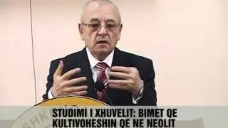 Shqiptaret te lidhur me Bimët - Vizion Plus - News - Lajme