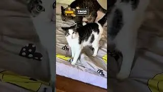 Иногда Подстава Прилетает Даже От Своих Близких 😢🎭🔪
