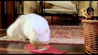 Stuart Little 2 - Trailer