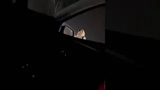 Любовь за деньги