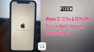 iPhone 12, 12 Pro, 12 Pro Max and iPhone 12 Mini Stuck on Apple Logo with Progress Bar in iOS 14