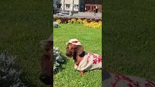 Моє ім'я Україна!!! 💙💛