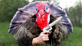 I Hunted Turkeys in a Turkey Costume!