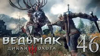 Ведьмак 3: Дикая Охота (The Witcher 3: Wild Hunt). СЫР И ТЕМНЫЕ СИЛЫ, ПИР И КУРЬЕРСКАЯ ДОСТАВКА #46