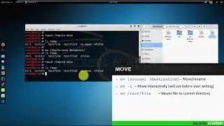 011 Перемещаем файлы и папки в Kali Linux | Кали Линукс