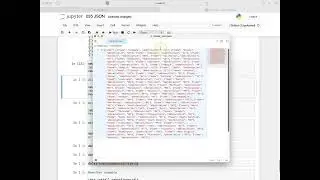 035 JSON
