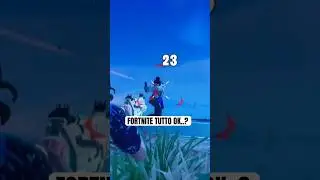 FORTNITE TUTTO OK..? 