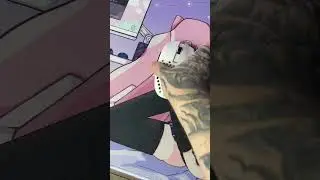 Геймерские ковры ЖАККАРД и ПОЛИЭСТЕР. В чем отличие? Что лучше? Fispeckt - Chinami Kono 