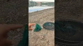 Какая лучше ловит? Какой пользовались? #рыбалка #fishing #вопросы #вершы #мардушка