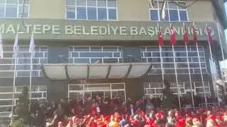 VID 20190305 WA0003