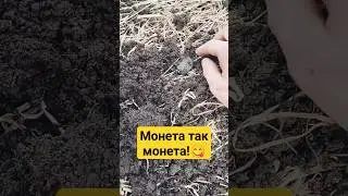 Наткнулись на кошелек царских монет!😊💰🔥