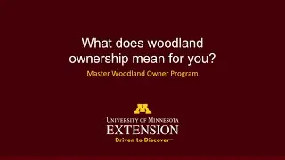 What does woodland ownership mean for you?