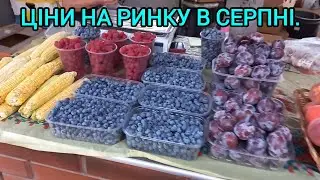 Базар в Кременчуці в Серпні🍆Ціни на Овочі та Фрукти🍎🫑🌶#цінинаовочі#цінинаринкувсерпні#цінинабазарі