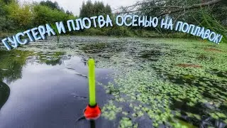 Рыбалка у дома!Поймал Щуку на живца)