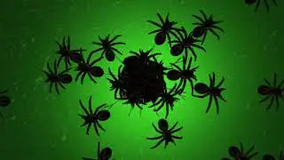 Horror Spooky Spiders Green Screen Effects