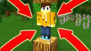 MINECRAFT CHALLENGE НЕЛЬЗЯ ХОДИТЬ ПО ЗЕМЛЕ ПРОХОЖДЕНИЕ КАРТЫ | МАЙНКРАФТ ПЕ ВЫЖИВАНИЕ БЕЗ МОДОВ # 1