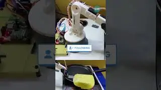 Auto Omlett