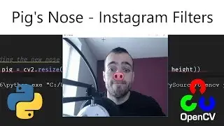 Pigs nose (Face instagram filters) - Opencv with Python